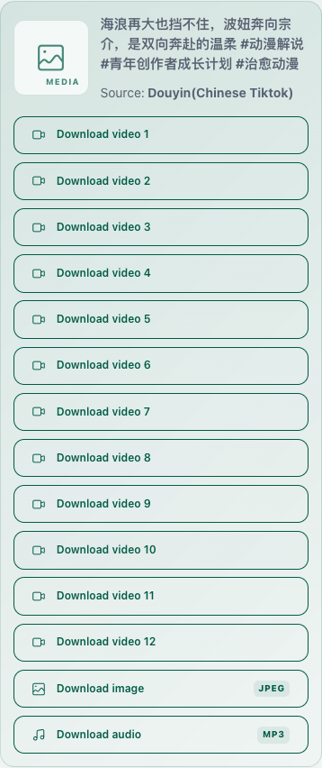 SnapVideoTools showing twelve video actions, one image action, and one audio action after checking a public Douyin item link.
