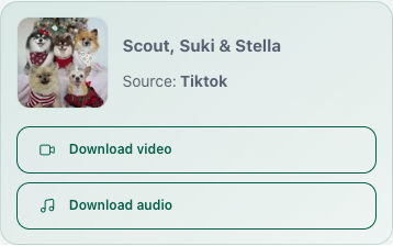 SnapVideoTools showing one video action and one audio action after checking a public TikTok video link.